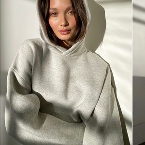 Aritzia babaton west coast hoodie